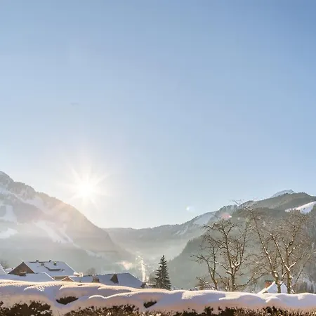 Chalet Joyau Des Neiges - Chalet - Bo Immobilier - Reduced Prices On Ski Passes Chatel & Portes Du Soleil *